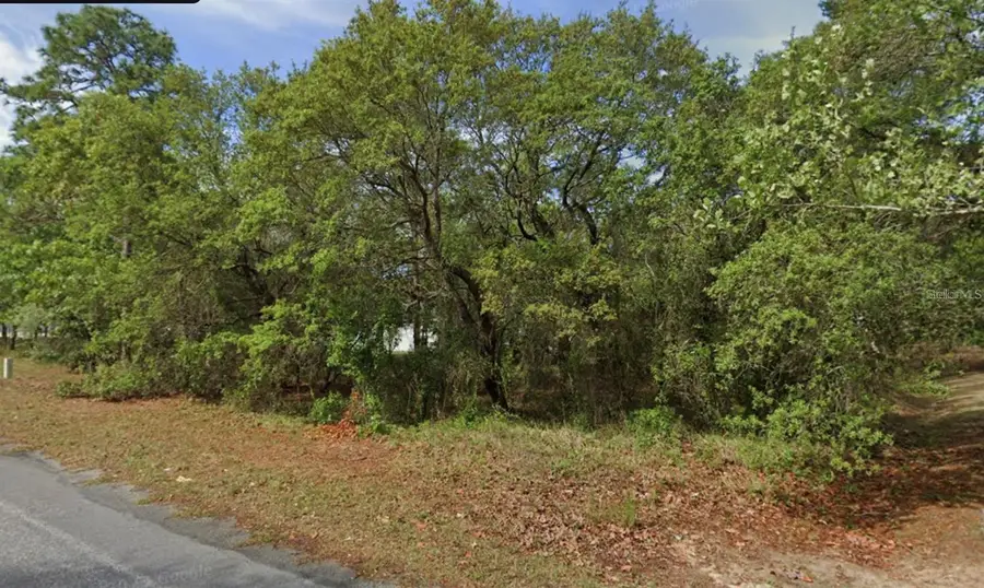 4 Honeysuckle Court N, Homosassa, FL 34446 - #2