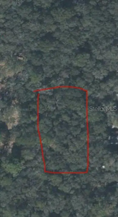 128th Place, Chiefland, FL 32626 - #1