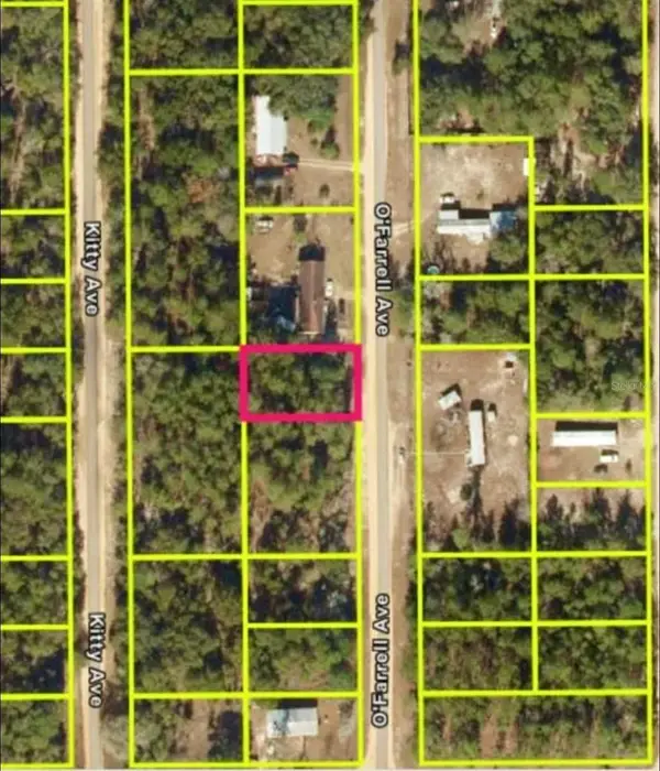 N O'farrell Avenue, INTERLACHEN, FL 32148