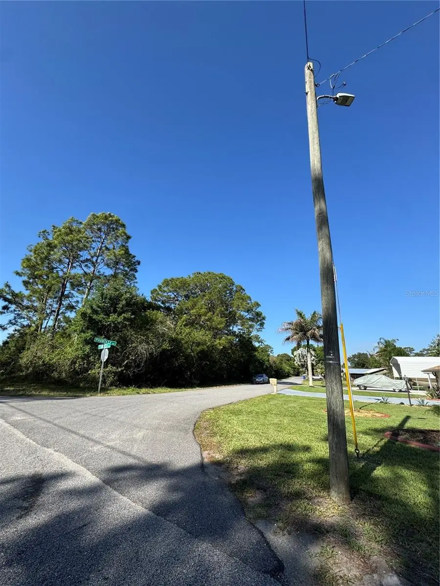 241 Phantasy Avenue, Lake Placid, FL 33852 - #1