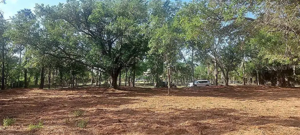 24614 Tangerine Avenue, Punta Gorda, FL 33980 - #1