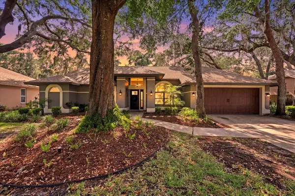 1445 Waterwood Drive, LUTZ, FL 33559
