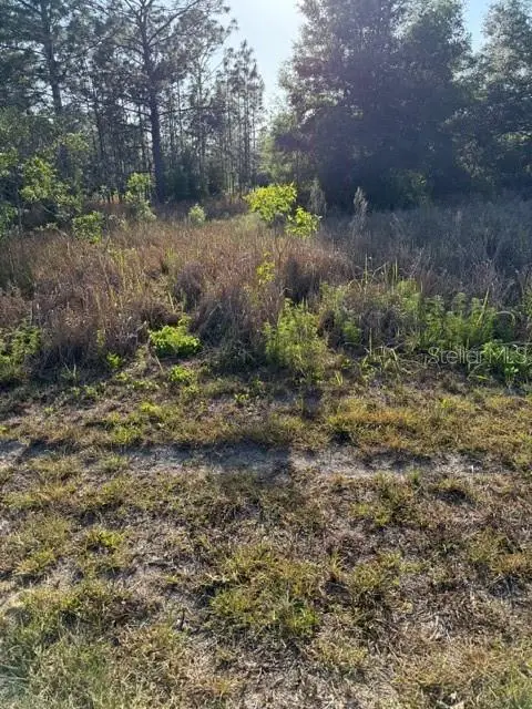 SW 142 Court, Ocala, FL 34481 - #3