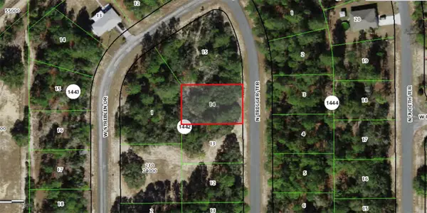 11126 N Trigger Terrace, CITRUS SPRINGS, FL 34433