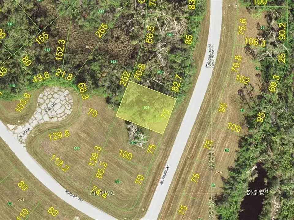 Address Withheld By Seller, Placida, FL 33946 - #1
