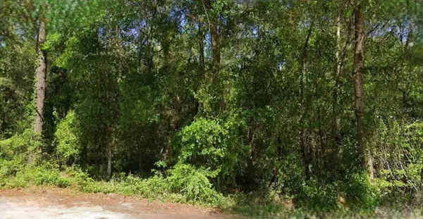 NE 6th Lane Road, SILVER SPRINGS, FL 34488