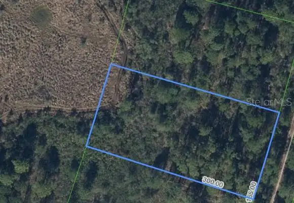 734 Dolphin Avenue, Lake Placid, FL 33852 - #3