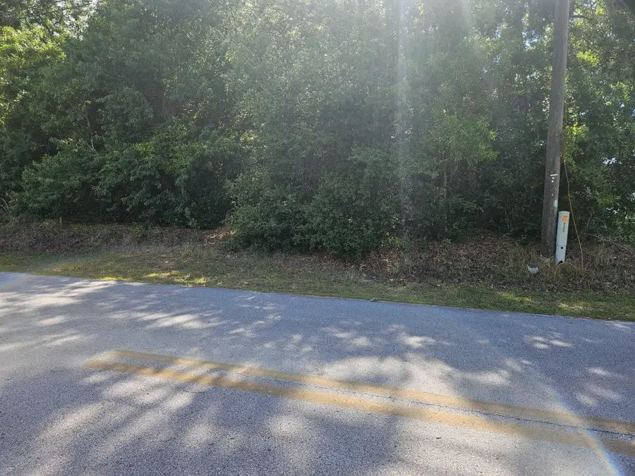 SE 89th Terrace, Belleview, FL 34420 - #3