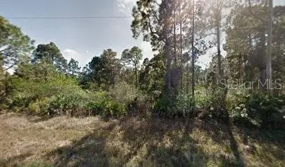 1118 Cove Street E, Lehigh Acres, FL 33974 - #2