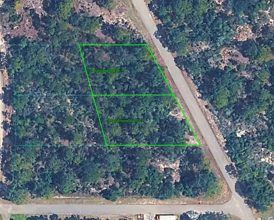 128 Sentimental Drive, Lake Placid, FL 33852 - #2
