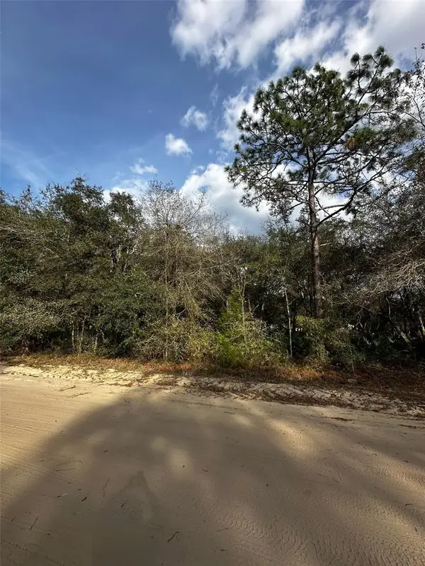 13-10-24-4079-0060-0040, INTERLACHEN, FL 32148