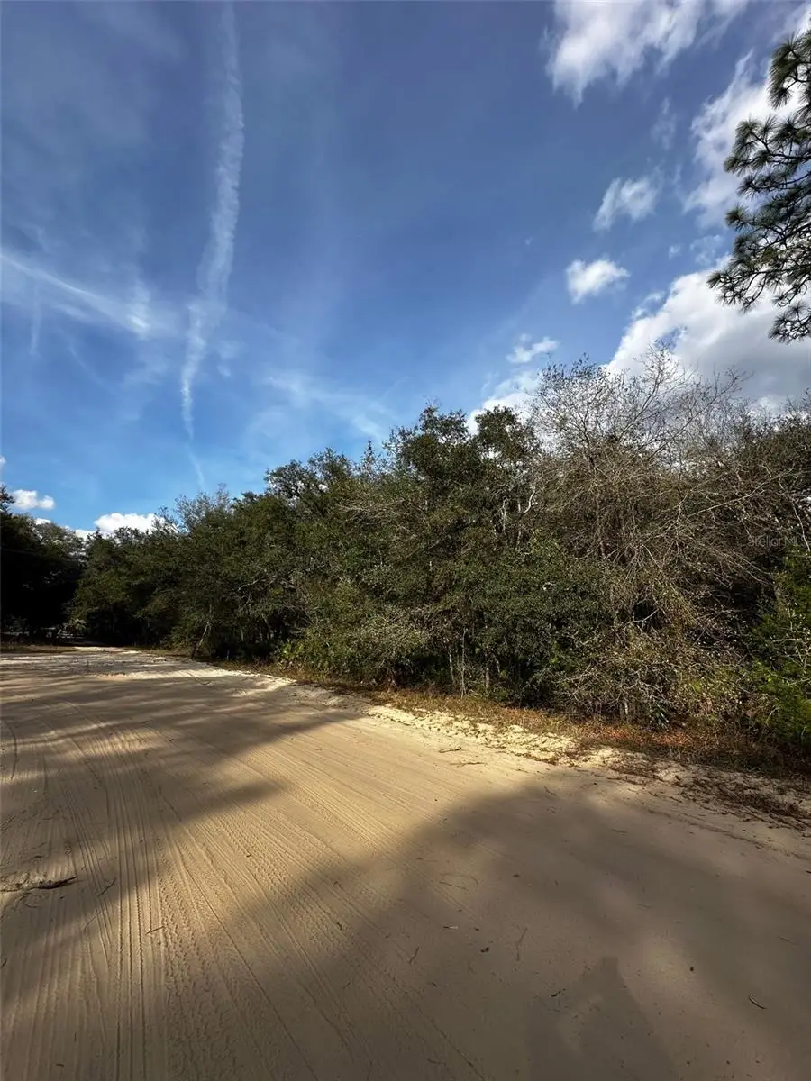 13-10-24-4079-0060-0040, Interlachen, FL 32148 - #2