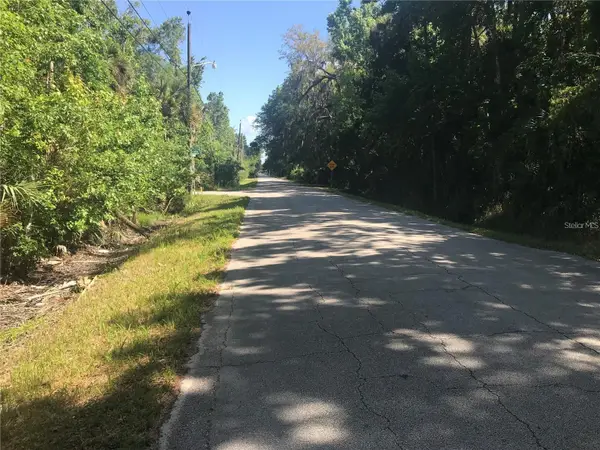 Elizabeth Street, NEW SMYRNA BEACH, FL 32168