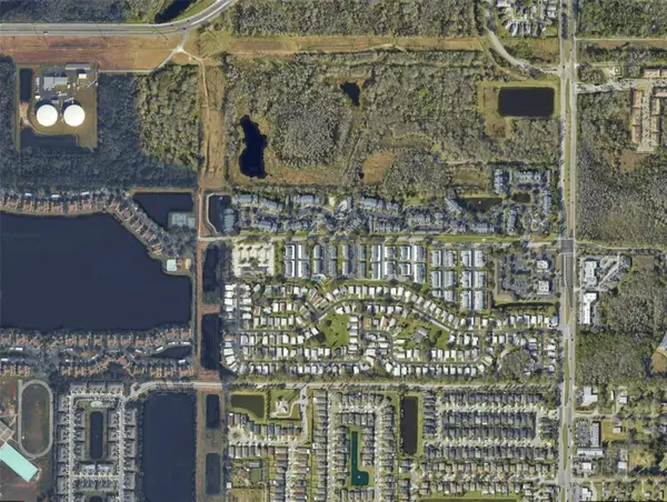 11919 Cypress Hill Circle, TAMPA, FL 33626