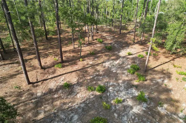 148th Court, MORRISTON, FL 32668