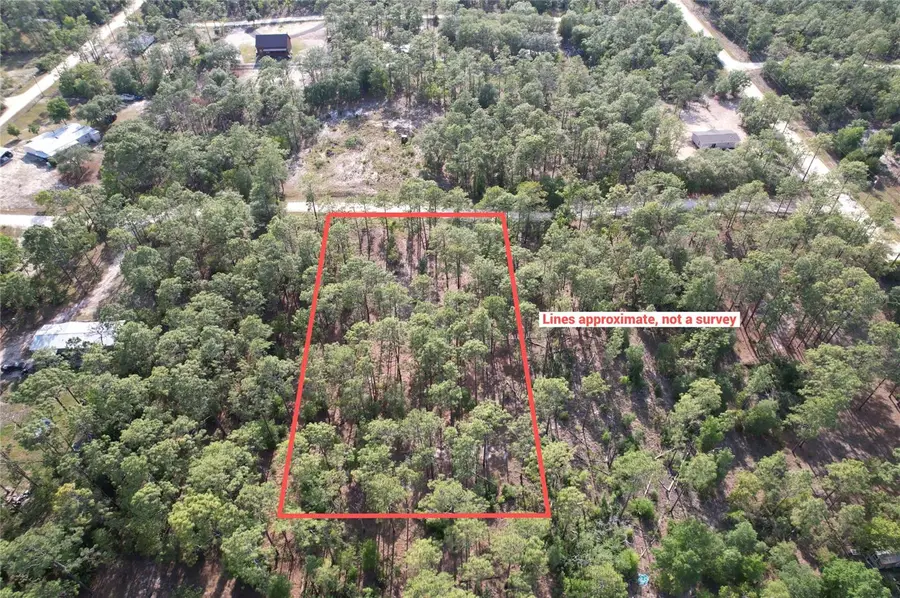 148th Court, Morriston, FL 32668 - #2