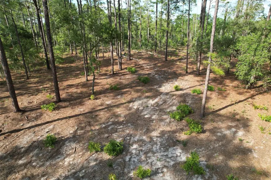 148th Court, Morriston, FL 32668 - #3