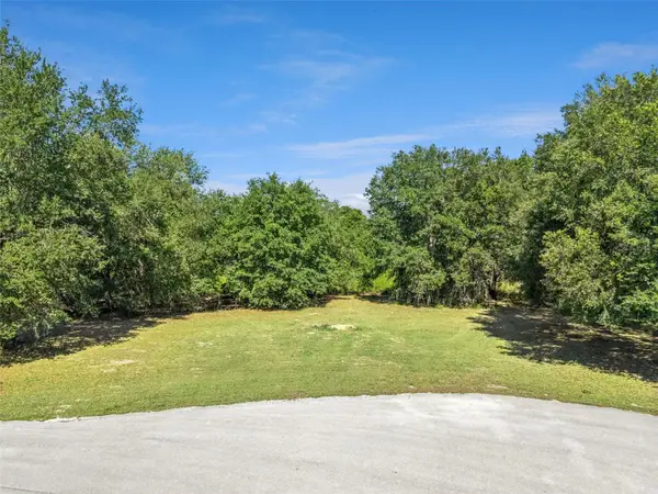 18353 Great Blue Heron Drive, GROVELAND, FL 34736