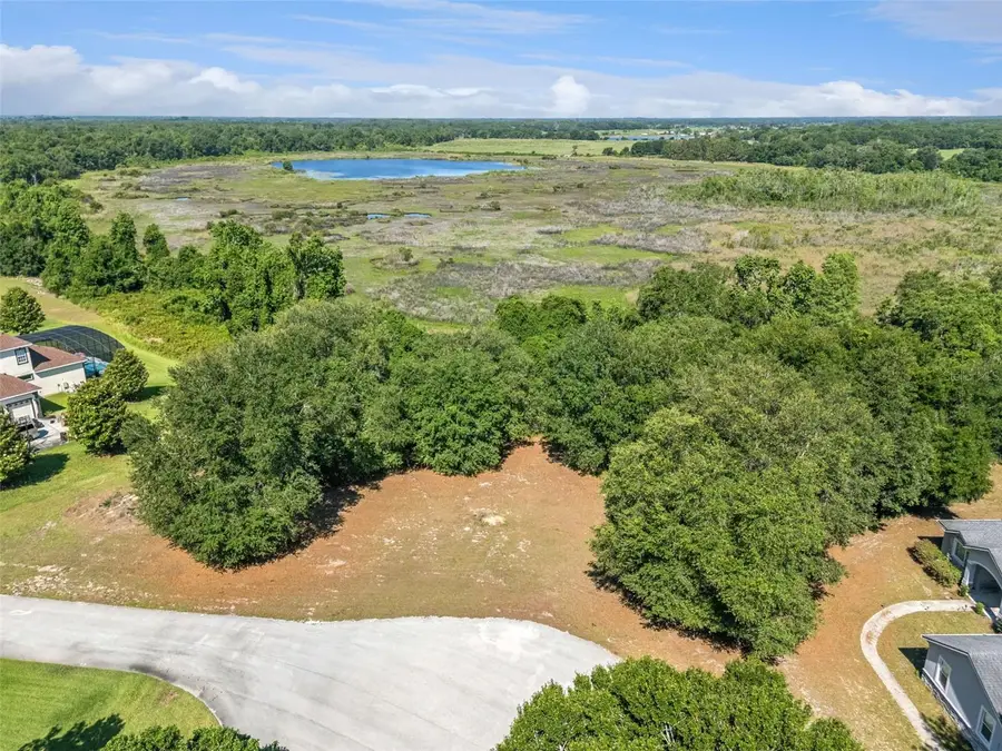 18353 Great Blue Heron Drive, Groveland, FL 34736 - #2