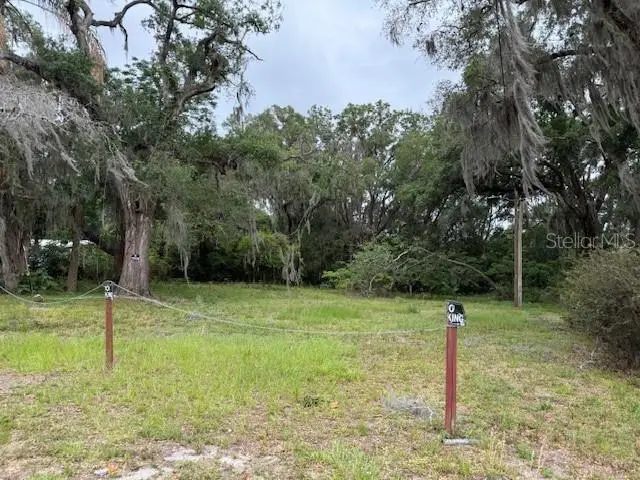 412 York Street, Wildwood, FL 34785 - #1