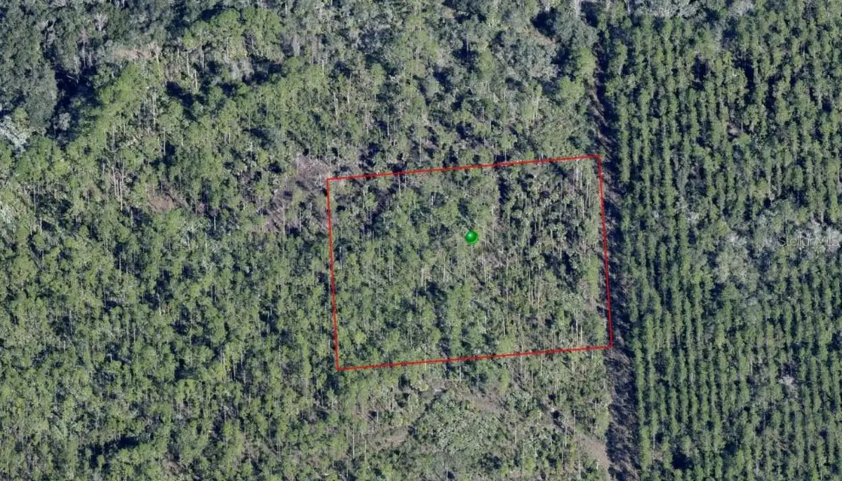 Lake Harney Road, Osteen, FL 32764 - #1
