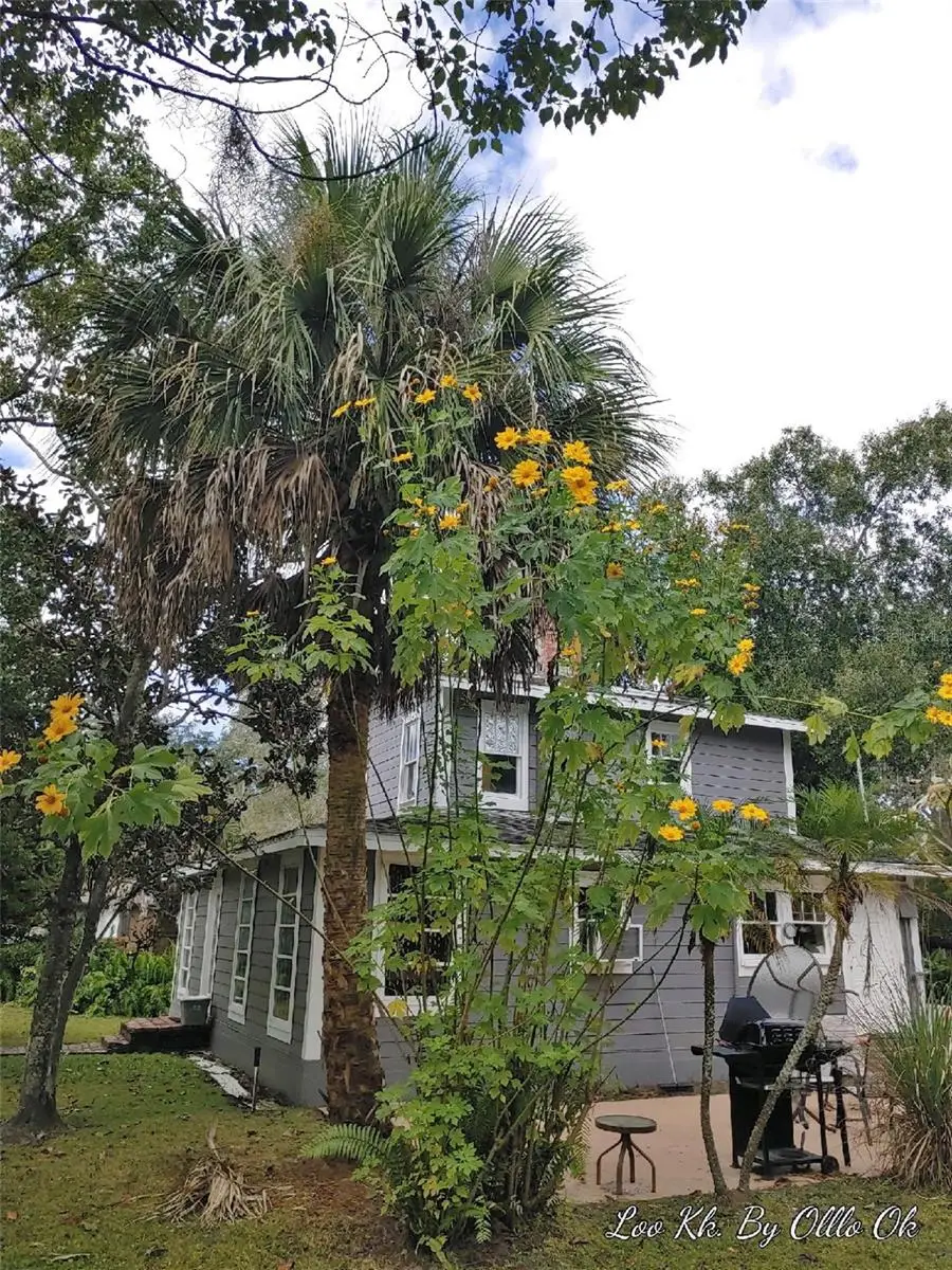 1419 King Street, Kissimmee, FL 34741 - #1