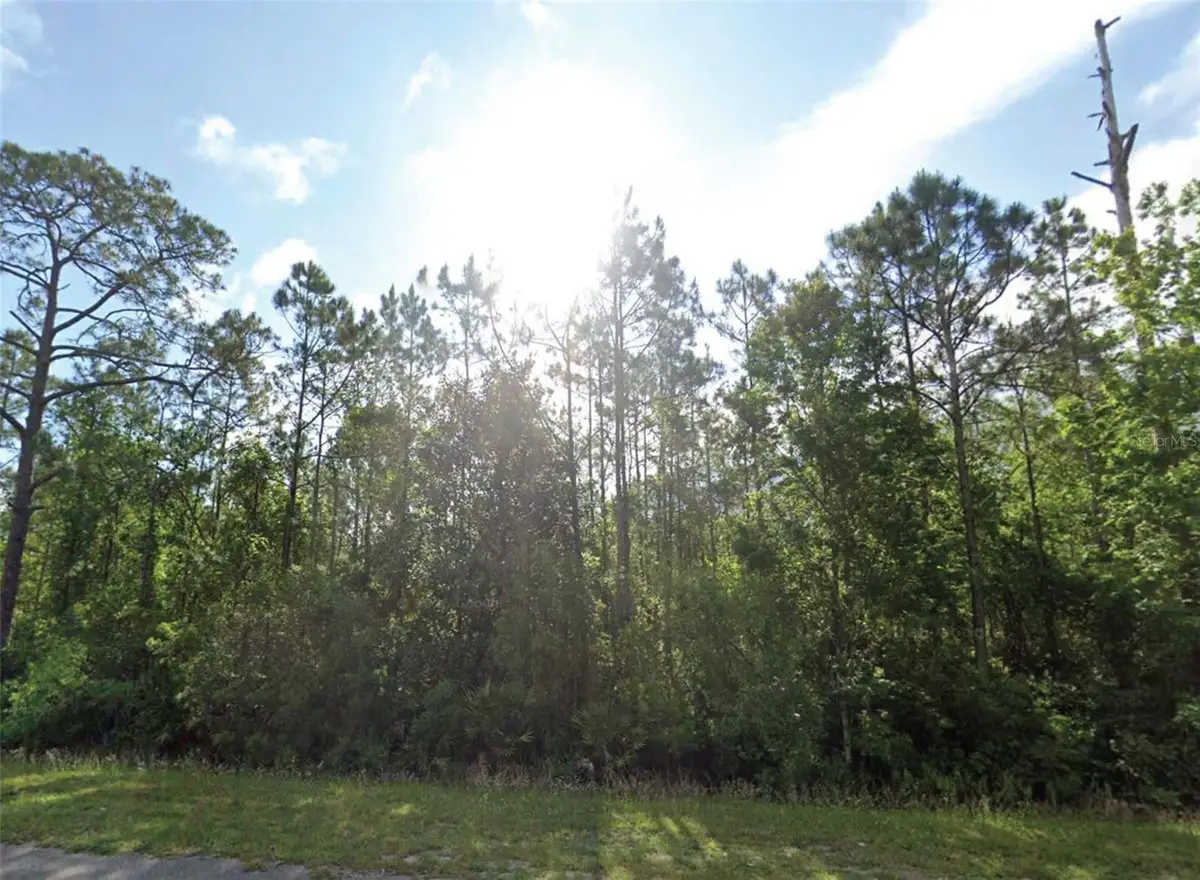 1677 S State Road 19, Palatka, FL 32177 - #1