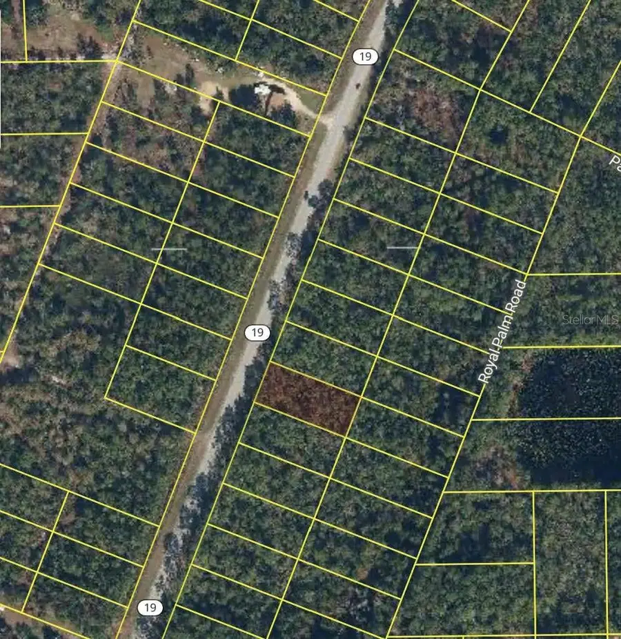 1677 S State Road 19, Palatka, FL 32177 - #2