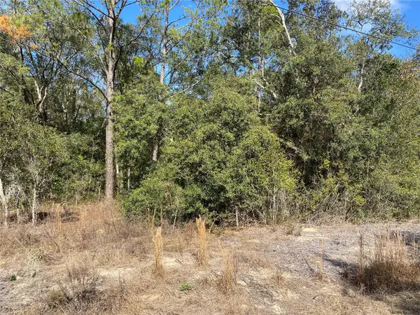 Southwest Beach Blvd, DUNNELLON, FL 34431