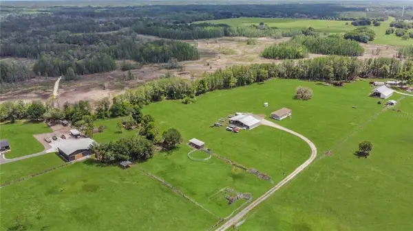 9650 Cockatoo Lane, GROVELAND, FL 34736