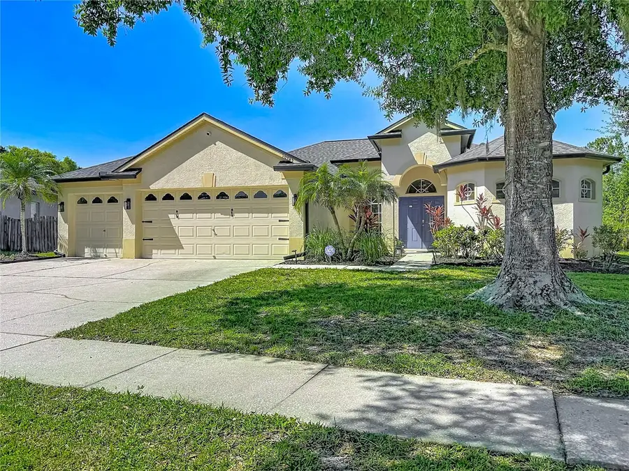 16923 Melissa Ann Drive, Lutz, FL 33558 - #2