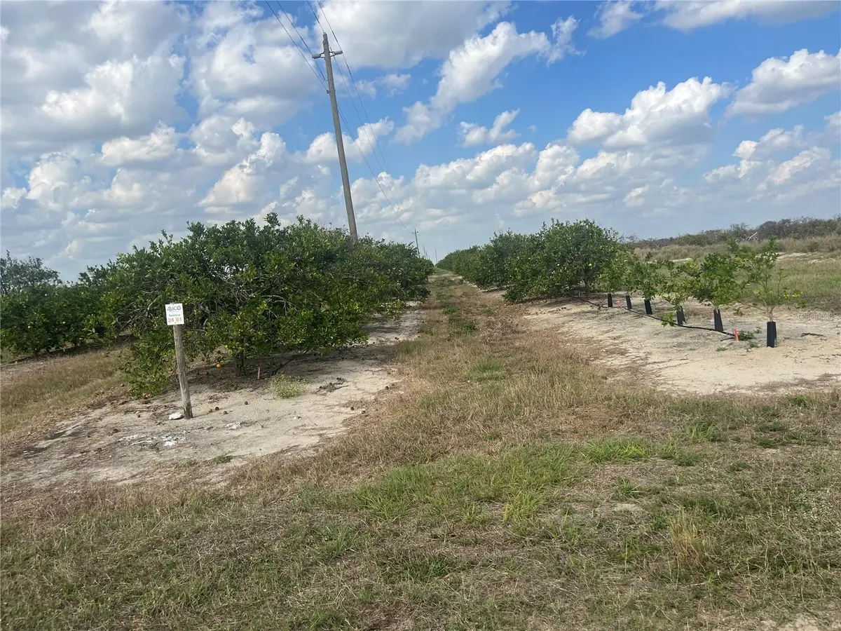 Ne Hwy 70, Arcadia, FL 34266 - #1