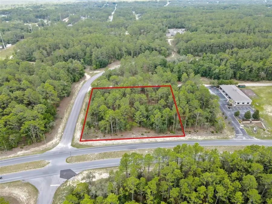 9787 N Citrus Springs Boulevard, Citrus Springs, FL 34434 - #2