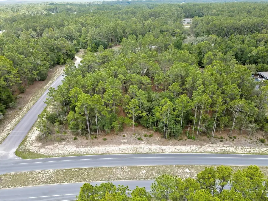 9787 N Citrus Springs Boulevard, Citrus Springs, FL 34434 - #3