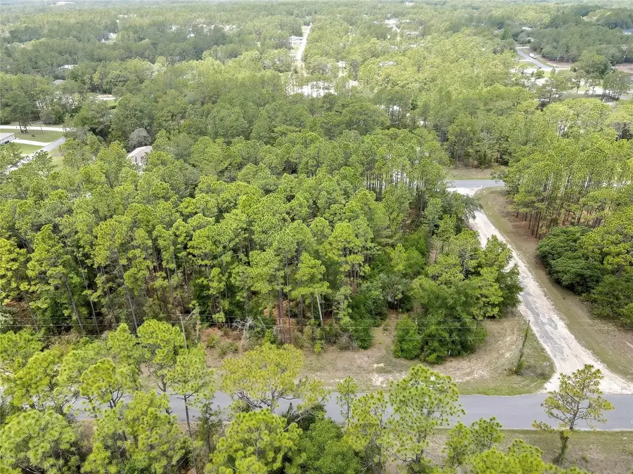7732 N Udal Drive, Citrus Springs, FL 34434 - #3