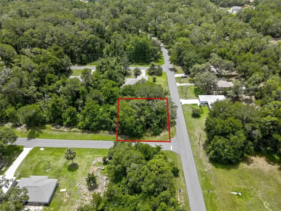 1074 W Maximilian Place, Citrus Springs, FL 34434 - #2