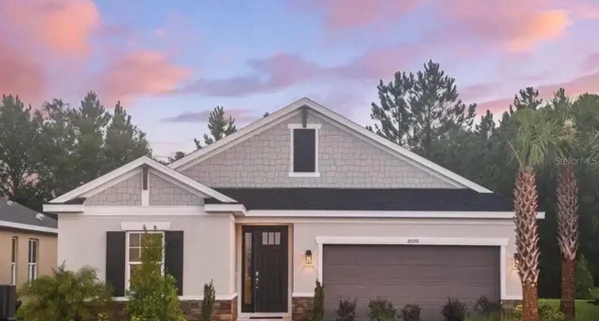 33320 Castaway Loop, Wesley Chapel, FL 33543 - #1