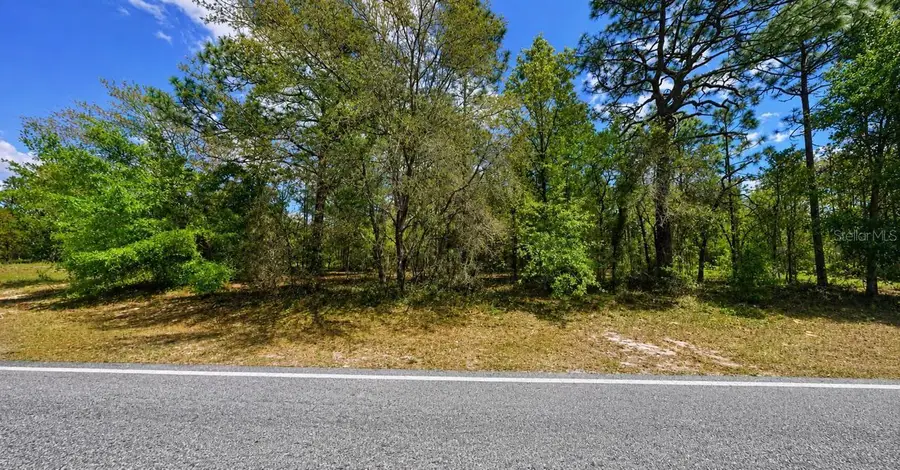 7983 N Santos Drive, Citrus Springs, FL 34434 - #2