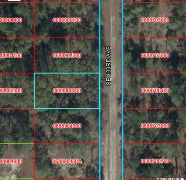 TBD 133rd Avenue, DUNNELLON, FL 34431