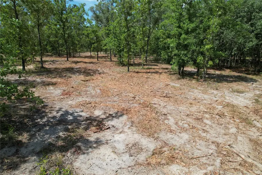 SE 53rd Lane, Morriston, FL 32668 - #2