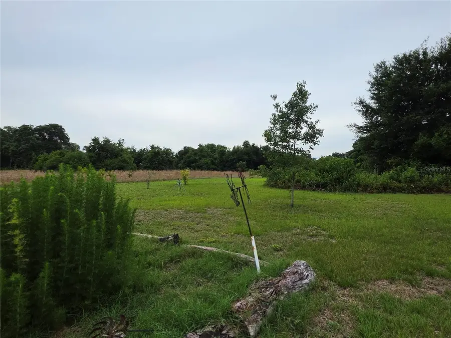 2510 NE 165th Street, Citra, FL 32113 - #3