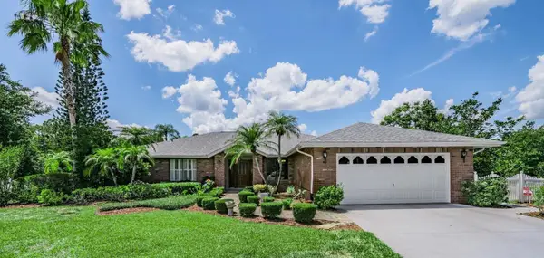 3817 Nicholas Court, TARPON SPRINGS, FL 34688