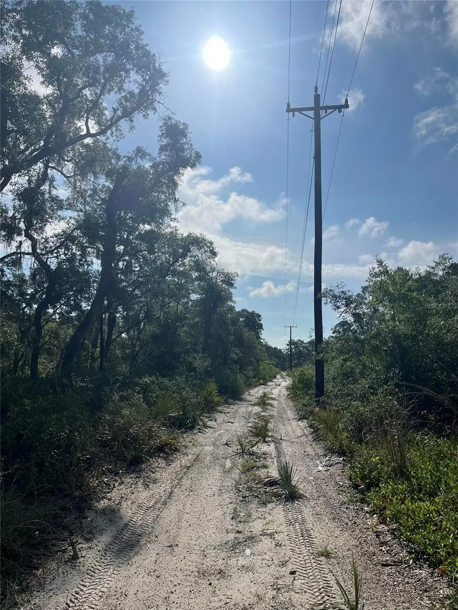 2942 Brownwood Circle, Sebring, FL 33875 - #3