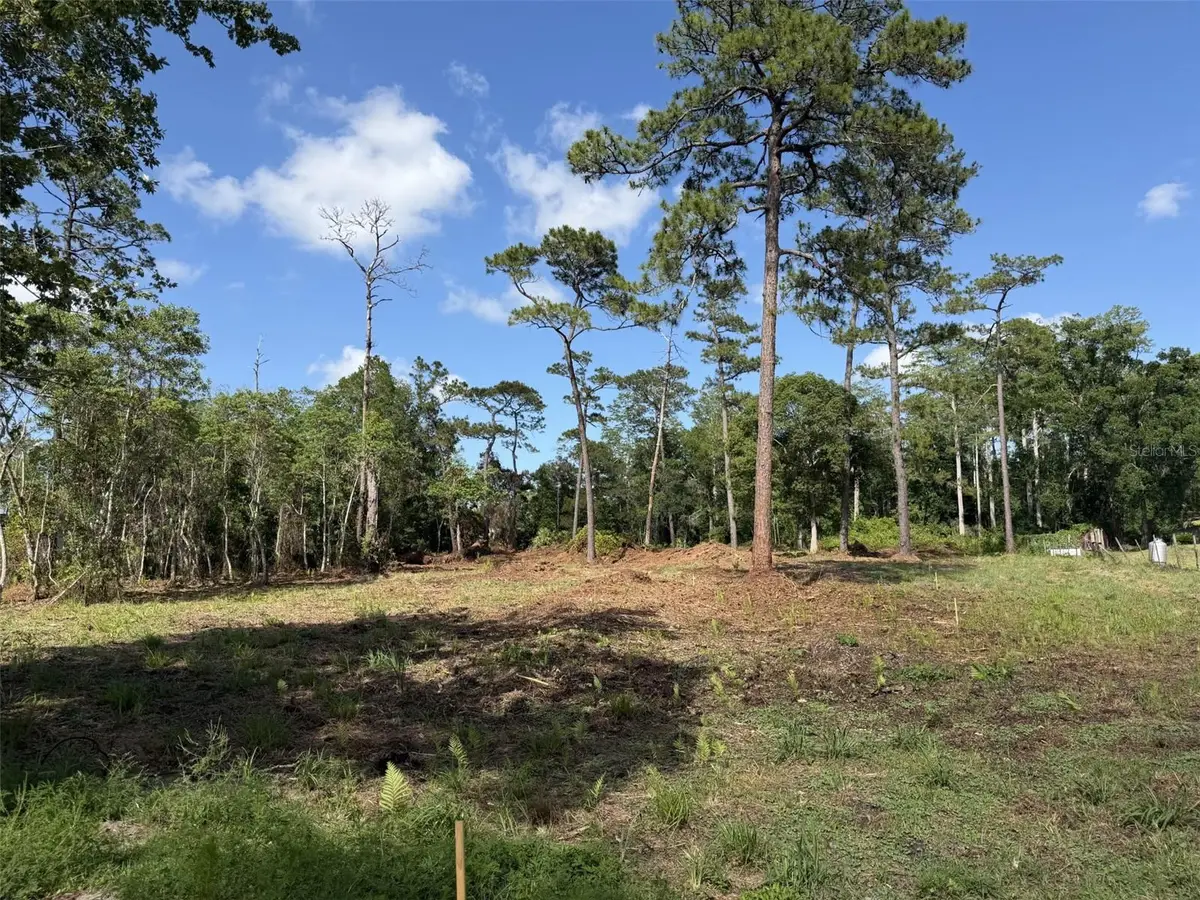 1005 Juniper Drive, Christmas, FL 32709 - #1