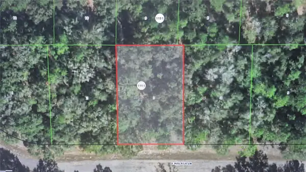 593 E Malaga Lane, DUNNELLON, FL 34434