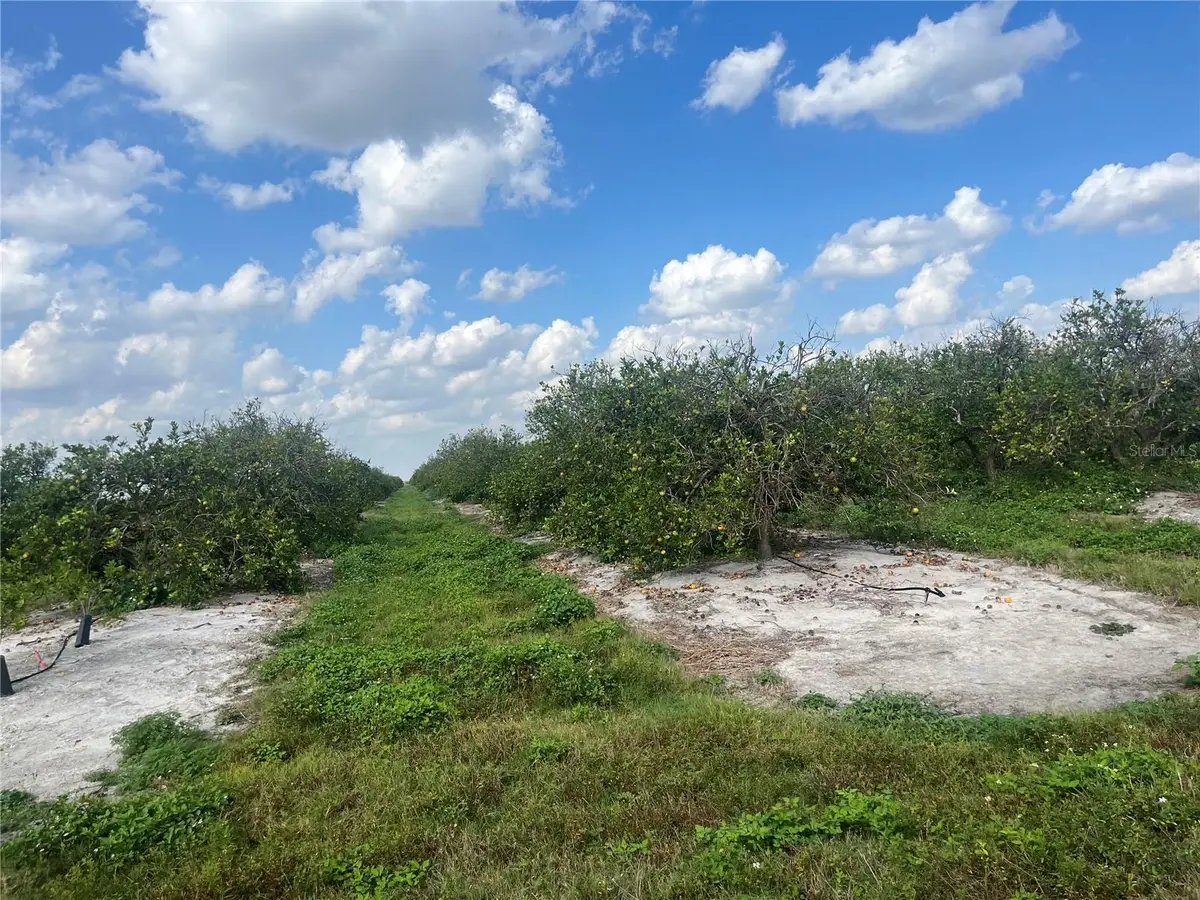 Ne Hwy 70, Arcadia, FL 34266 - #1