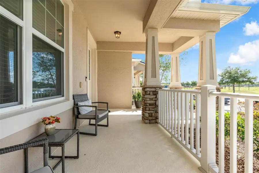 11951 Vermillion Avenue, Windermere, FL 34786 - #3