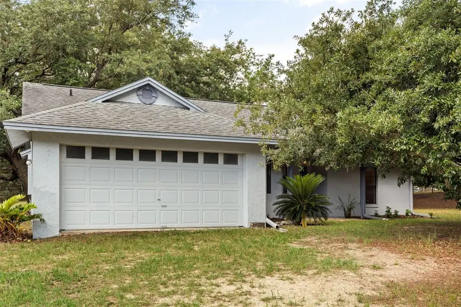 16104 Sandhill Road, Winter Garden, FL 34787 - #3