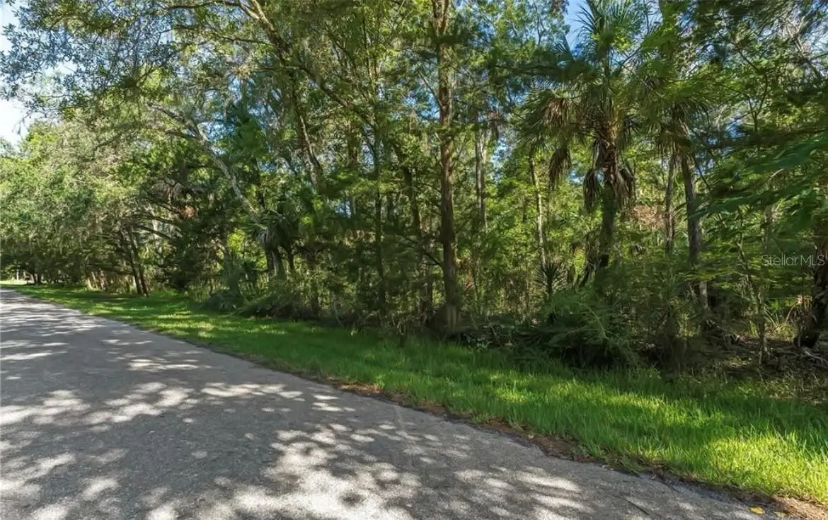 10975 W Rockhaven Lane, Homosassa, FL 34448 - #1