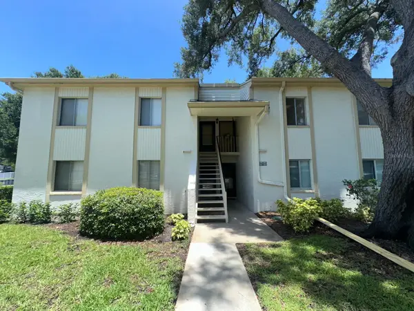 201 Palmetto Court #201, OLDSMAR, FL 34677